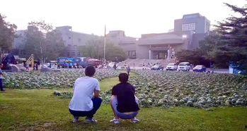 美院吃瓜群众事件,揭秘校园网络暴力的阴影面