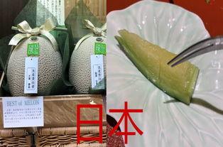 韩国吃哈密瓜,哈密瓜的甜蜜逆袭