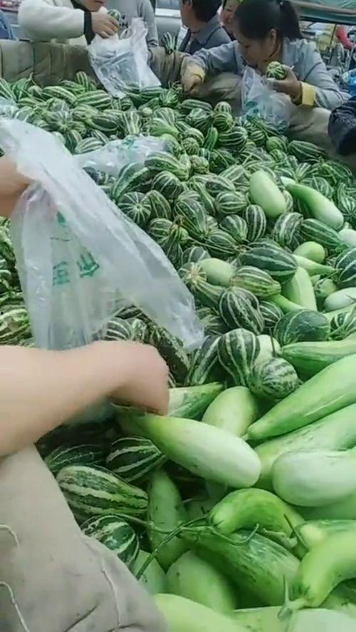 冷叔吃瓜,揭秘娱乐圈那些不为人知的幕后故事