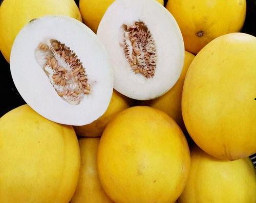 小众吃瓜聚集地,揭秘网络小众吃瓜聚集地的神秘魅力