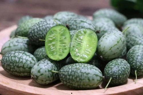 汉诺威儿吃瓜,揭秘娱乐圈的甜蜜与苦涩