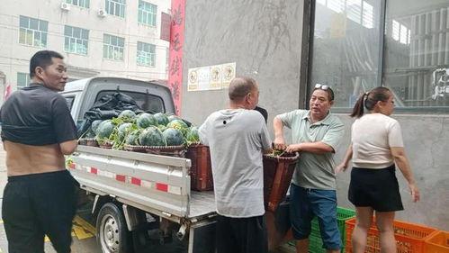 永康吃瓜群众,揭秘当地热门话题背后的故事