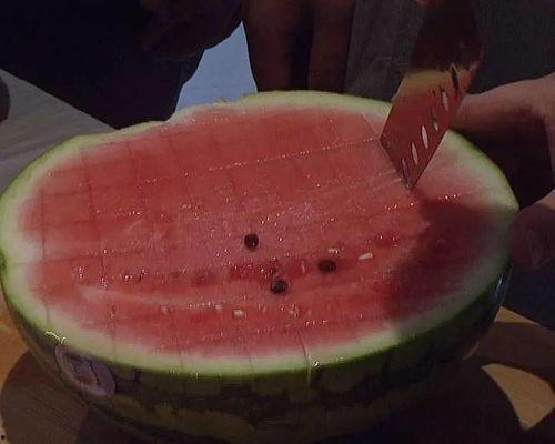 吃瓜的文明说法,吃瓜群众视角下的社会百态