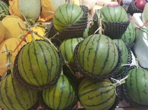 合肥九中吃瓜,揭秘背后的校园生活点滴