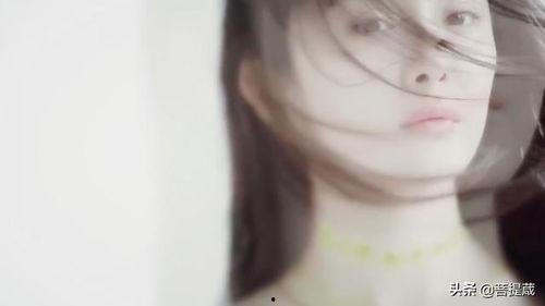 闲闲吃瓜完结版,揭秘娱乐圈幕后真相，完结版大揭秘