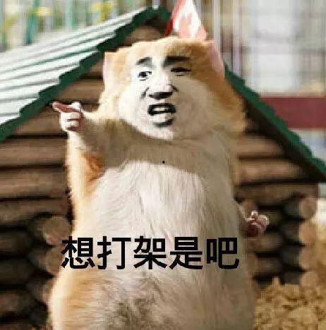 吵架吃瓜照片大全,一睹为快