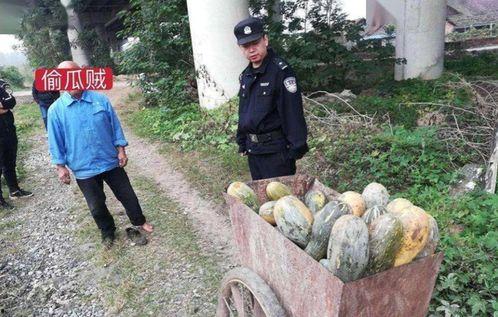 武陟酒后吃瓜事件,一场网络热议的误会与反思